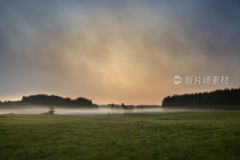 夏日清晨，田野和薄雾笼罩着美丽的瑞典风景