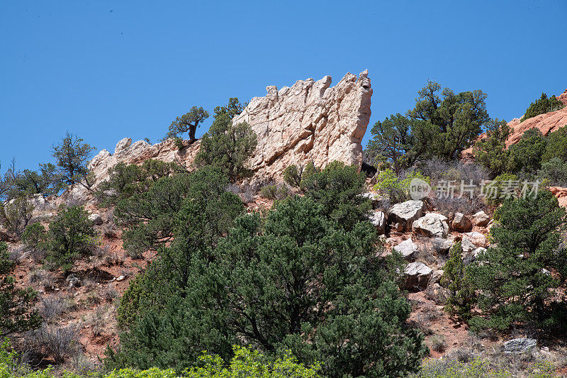 众神花园南面的砂岩形成，向西望派克峰。