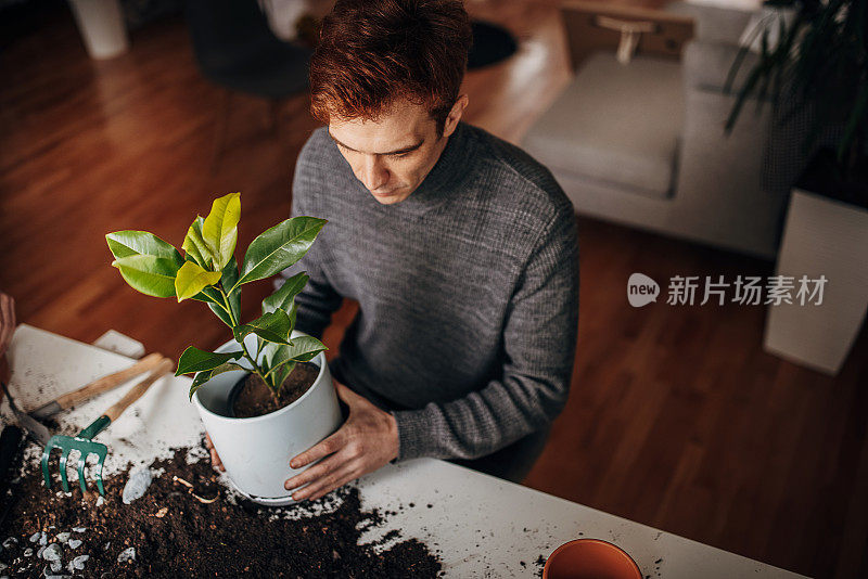 里德海德先生在家里种植室内植物