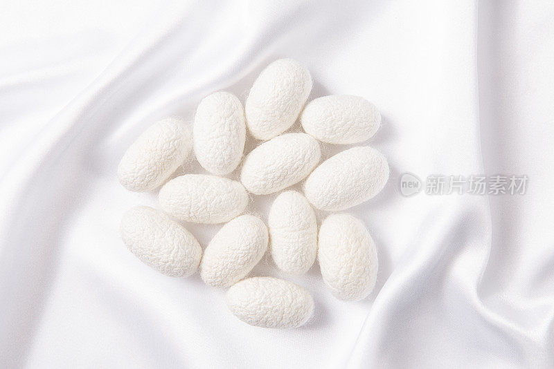 蚕茧在白色的蚕丝织物上。