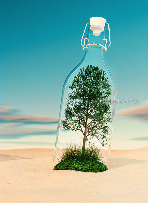 沙漠中有一个玻璃瓶，里面有一棵树