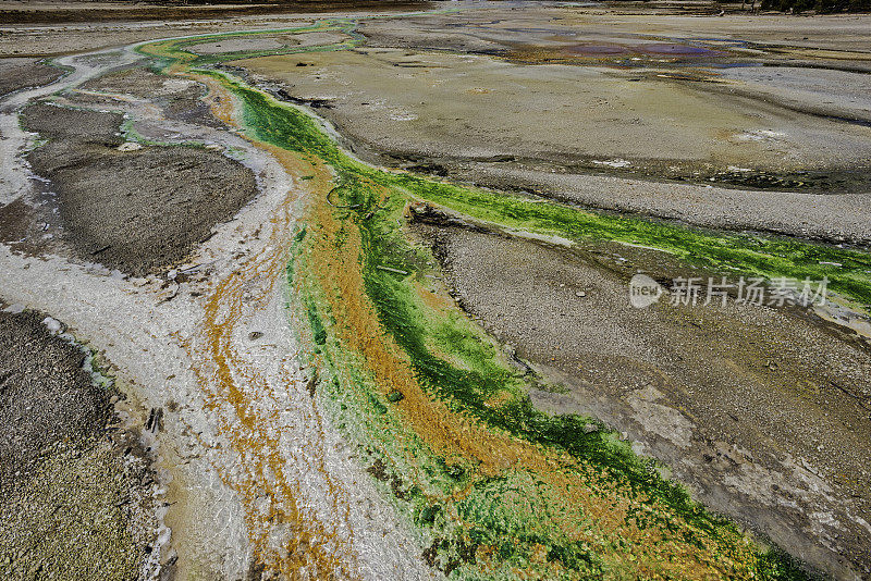 诺里斯间歇泉盆地的藻类和细菌径流通道显示了黄石国家公园，怀俄明州的地热活动。