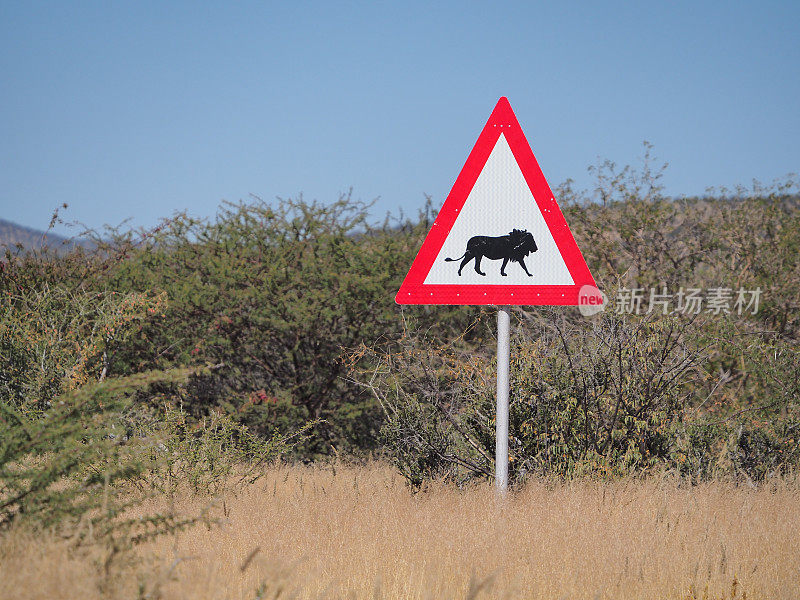 狮子穿越警告标志