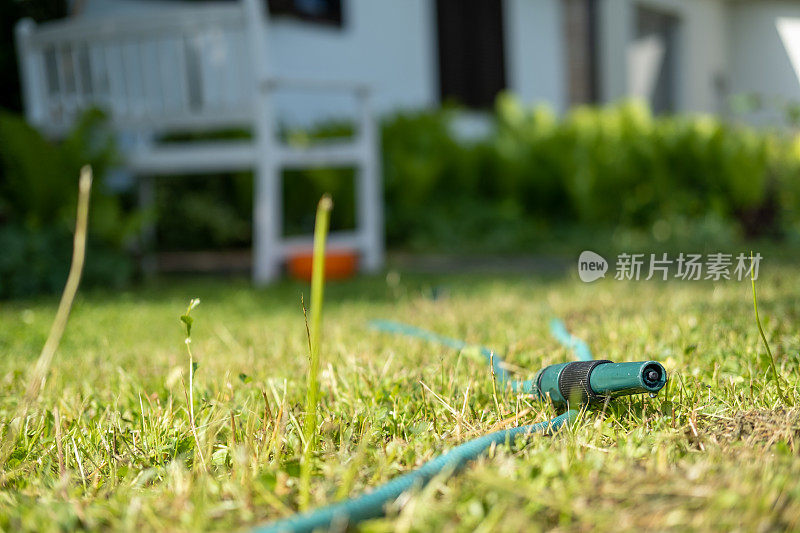 夏天花园里修剪的草坪上有绿色的花园水管。