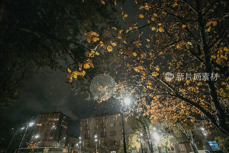 城市雨夜