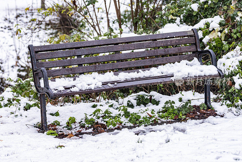 雪地里的公园长椅