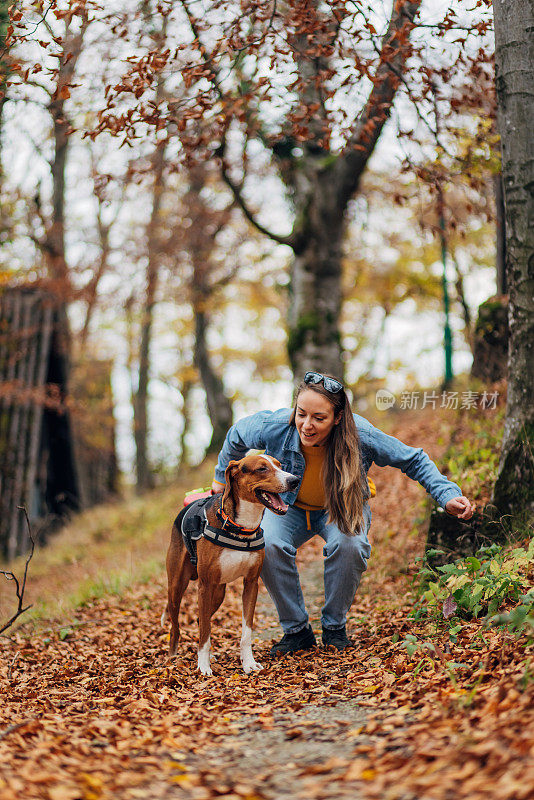 一只猎犬和它的女主人在秋天的一天散步