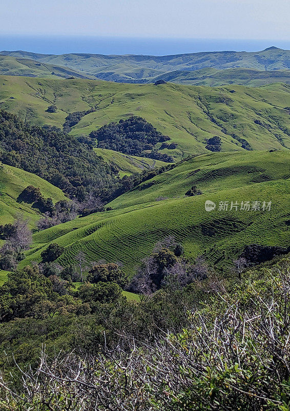 从坎布里亚的绿谷观景点俯瞰加州海岸的绿色山丘，远处是加州的莫罗湾