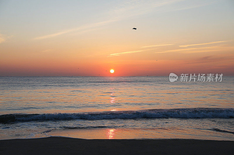 海滩风景