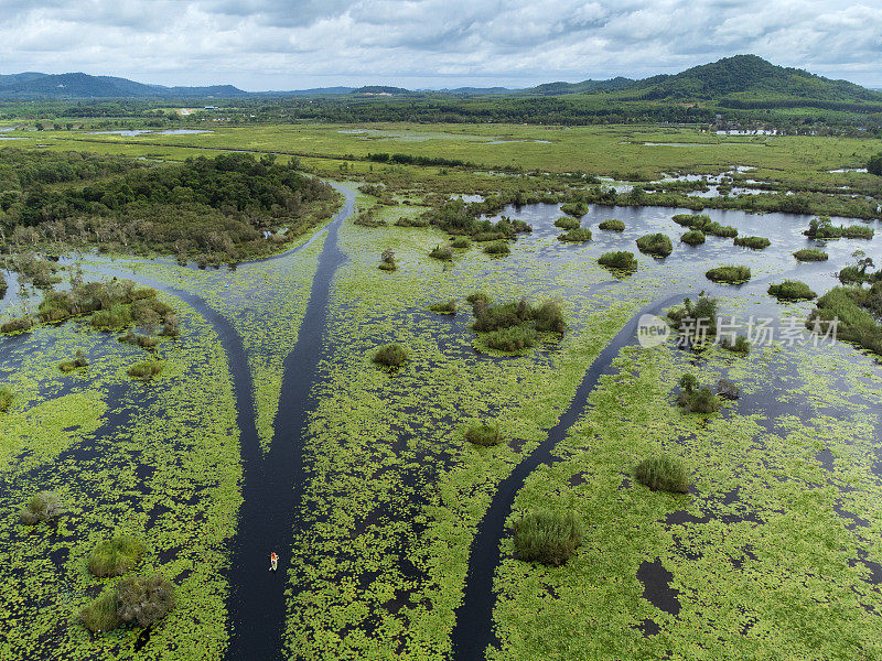 在泰国向公众开放的湿地生态系统——罗勇植物园，鸟瞰皮艇之旅。