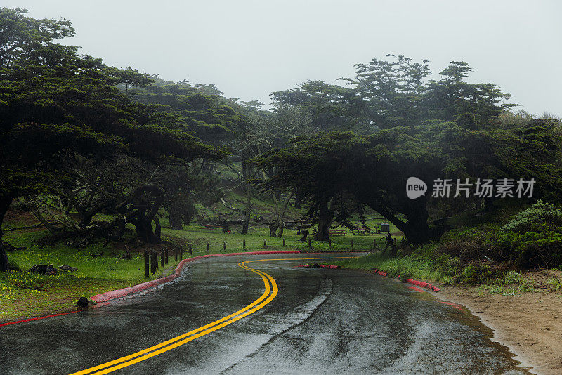 在旧金山的雨天和雾天，公园里的道路