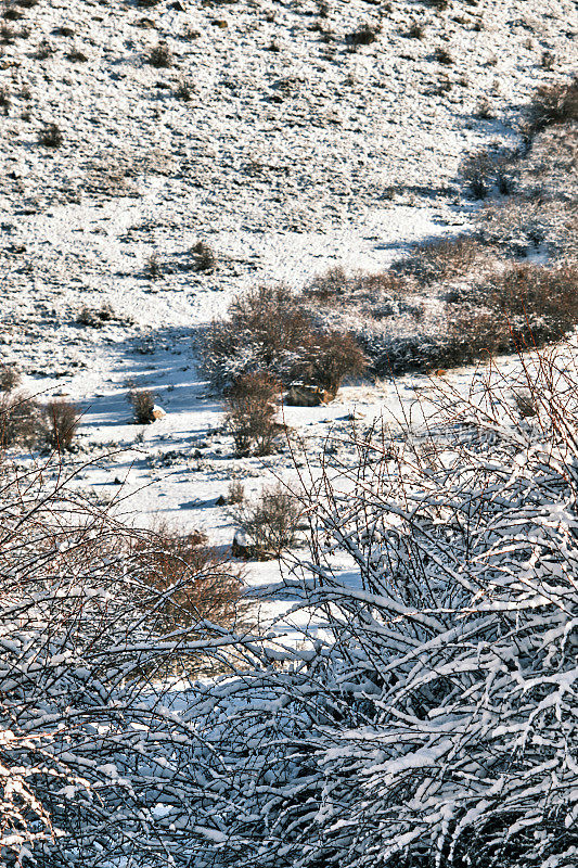 降雪后的冬季山景