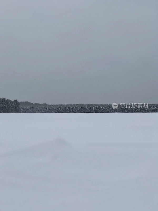 威斯康辛州北部暴风雪中的冬季乡村景观。