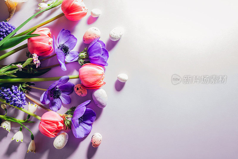 复活节快乐。在紫色的背景上平放着带有春天粉红色紫色花朵的复活节彩蛋。贺卡或横幅。空间