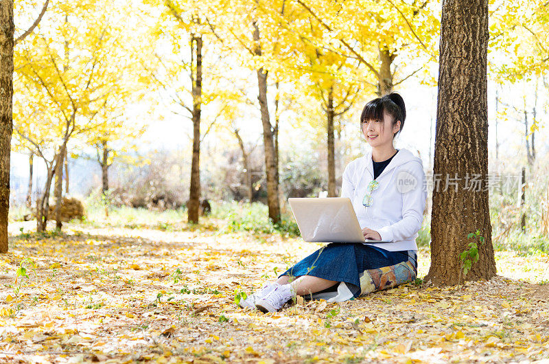 一个女人在黄色的银杏树下使用笔记本电脑