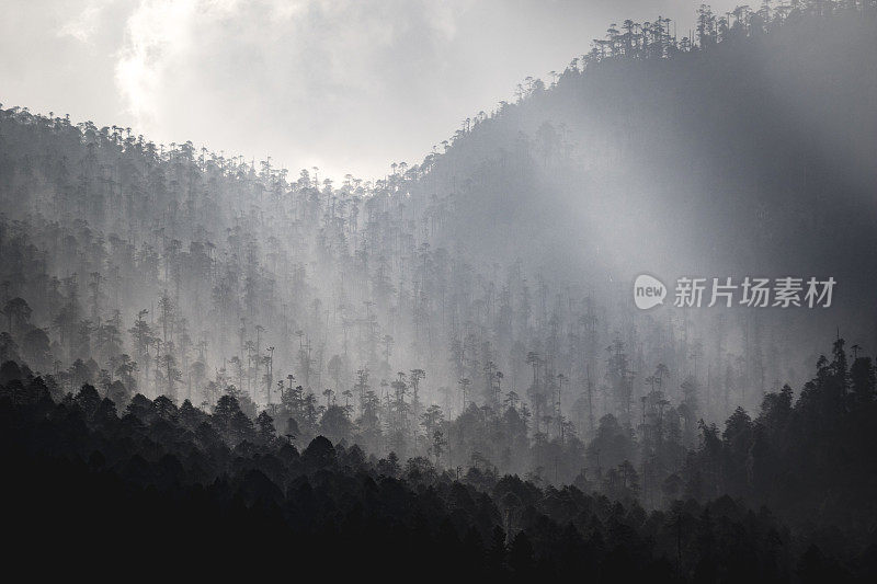 Phobjikha山谷景观与戏剧性的光线从阳光过滤通过雾霾在森林