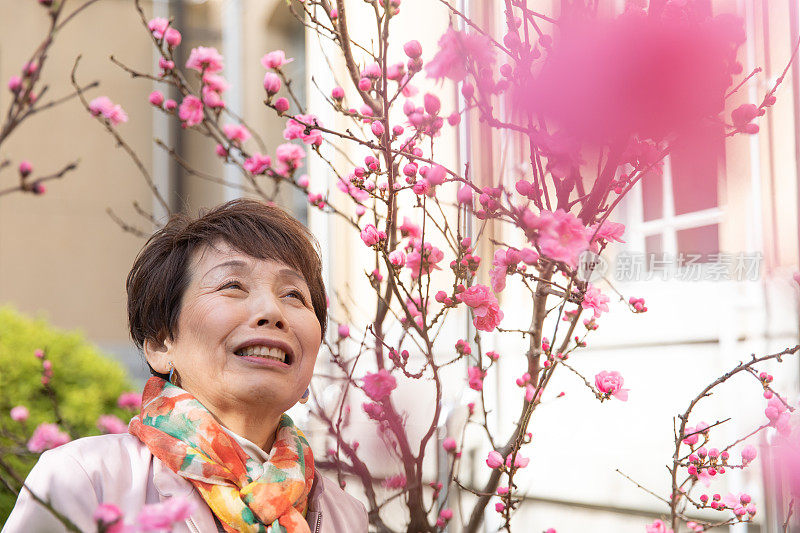 年长日本女人