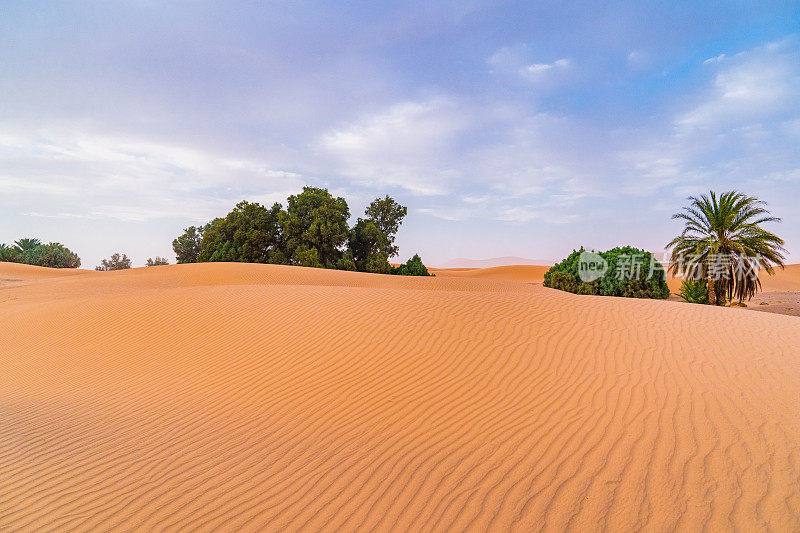 撒哈拉沙漠的日落。巨大的橙色沙色沙丘和多云的天空在Merzouga沙漠，摩洛哥。