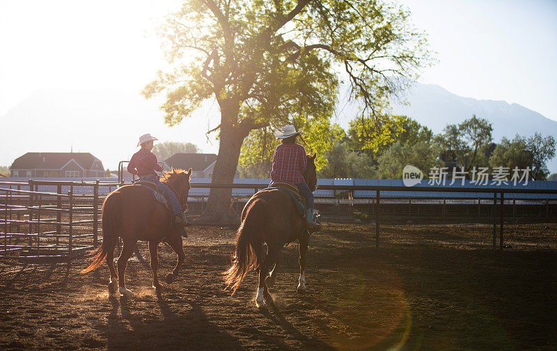 在农场里骑着马的女牛仔
