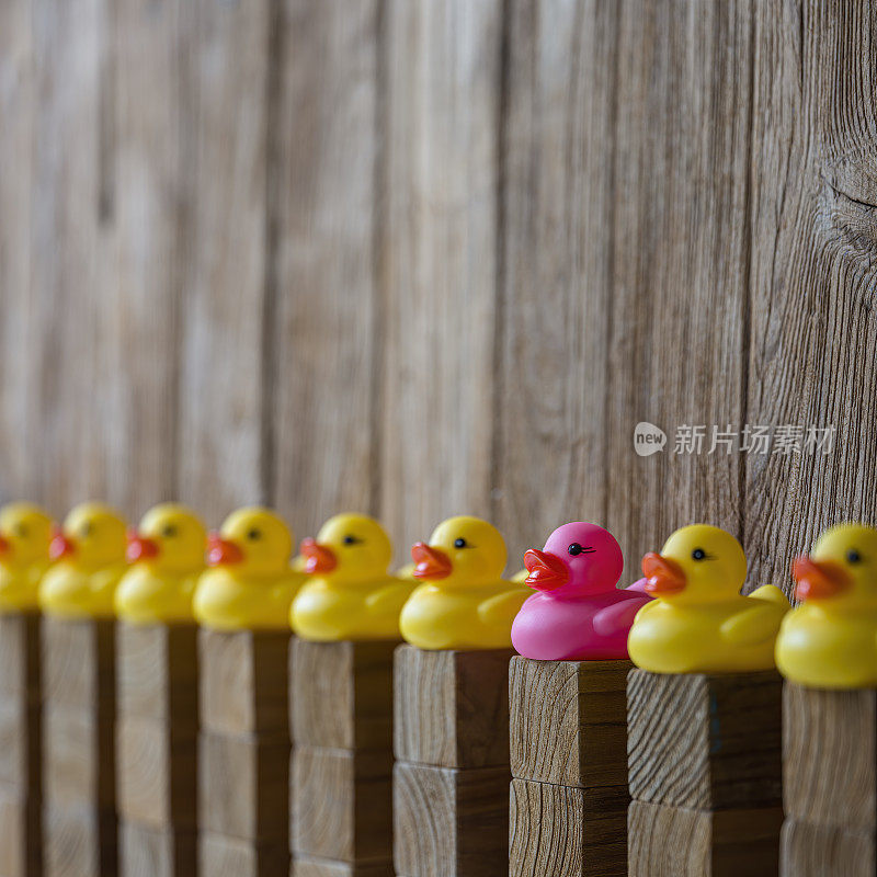 许多黄色的橡皮鸭坐在堆叠在一起的木制方块上，在一排黄色的鸭子中，一只不同的粉红色橡皮鸭在其中的一个塔上突出，映衬着一片模糊的森林背景。