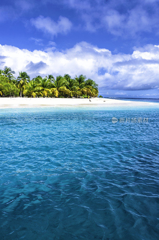 加勒比海的一个孤独的热带岛屿