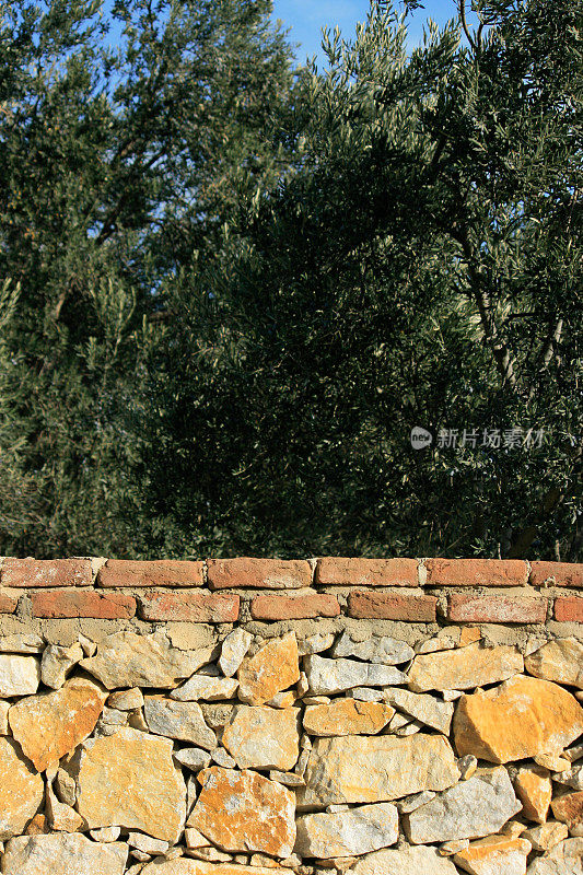 黄色石墙和橄榄树