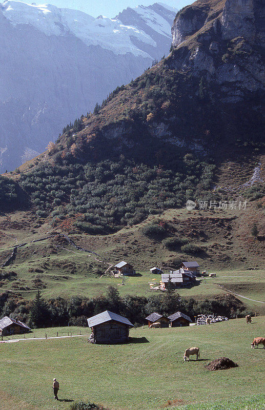 瑞士格林德沃附近的瑞士高山草甸的农民