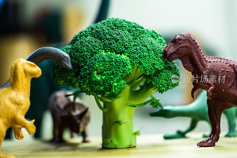玩具恐龙配花椰菜