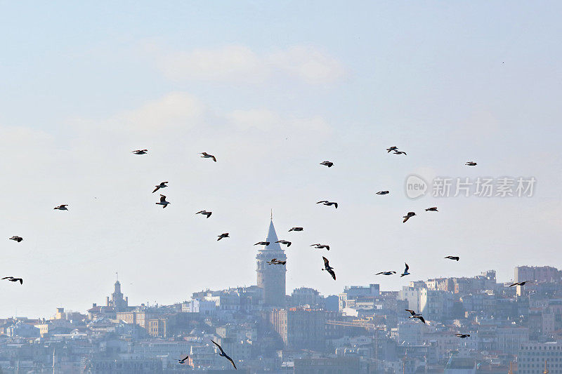 加拉塔塔，伊斯坦布尔，土耳其