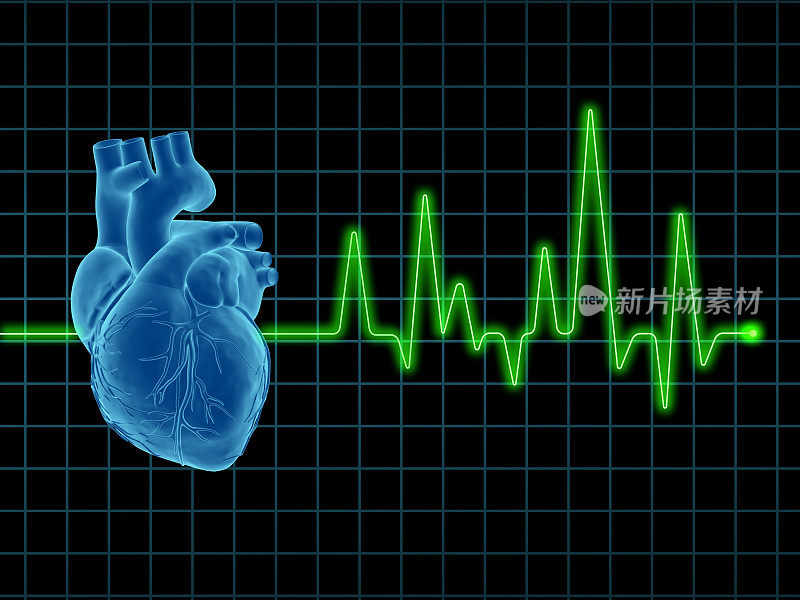 在屏幕上有一幅蓝色的人类心脏的心电图