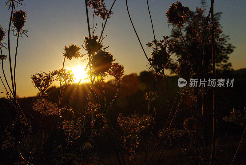 日出在乡间