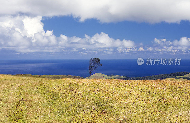 复活节岛。从VolcanoTerevaka