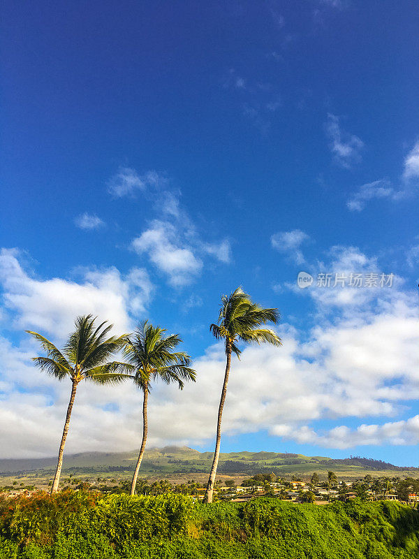 Wailea景观，美国夏威夷