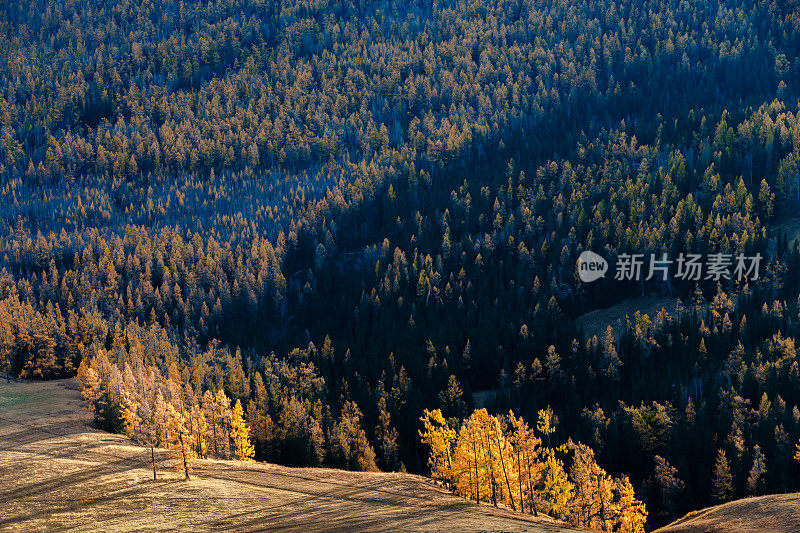 中国新疆喀纳斯山景城