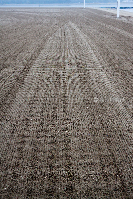 海滩上跟踪