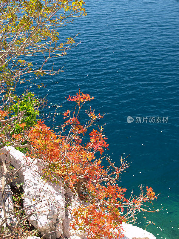 风景优美的亚得里亚海海岸线