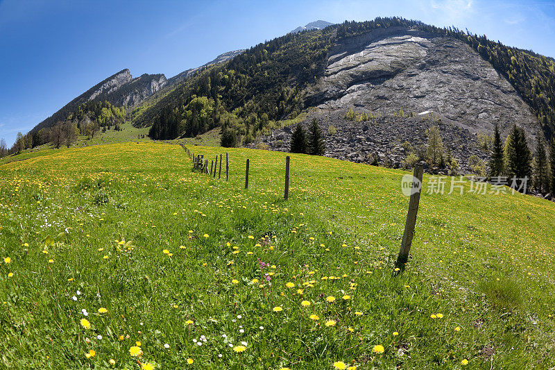 阿尔卑斯山草甸和岩石滑坡附近的欧伯湖，格拉鲁斯坎顿，瑞士