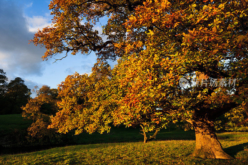 英国风景:秋天的色彩