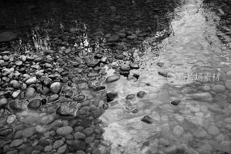 河里的石头是黑白相间的