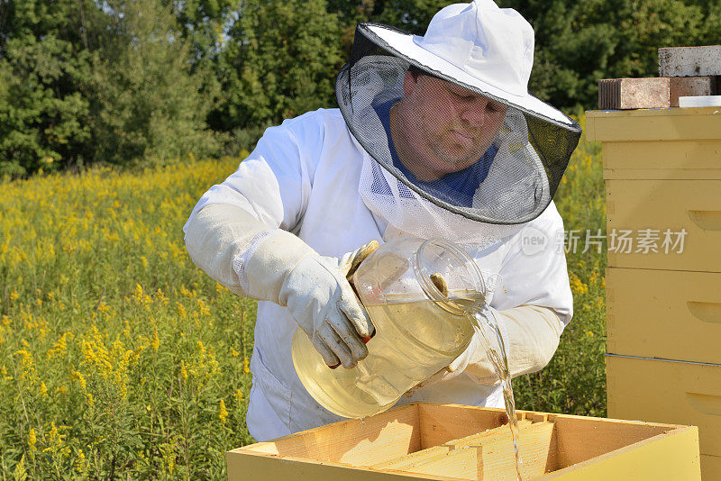 养蜂人喂糖水到蜂巢