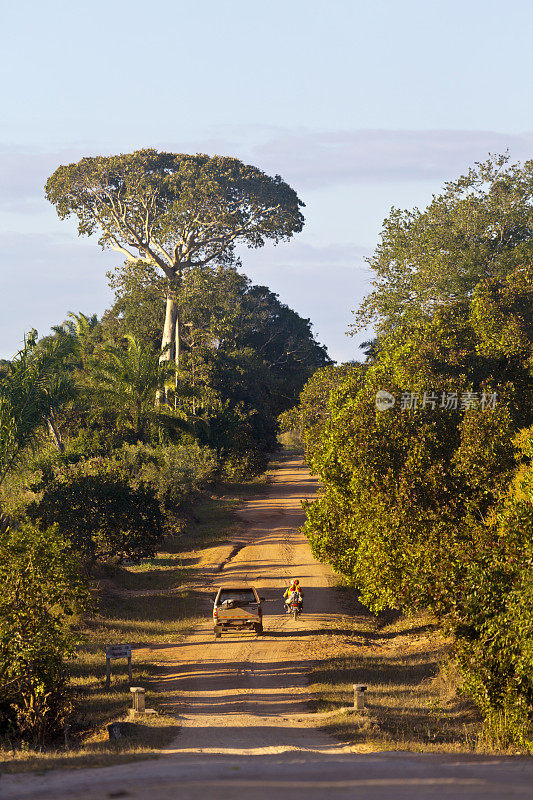 莫桑比克楠普拉省农村公路。