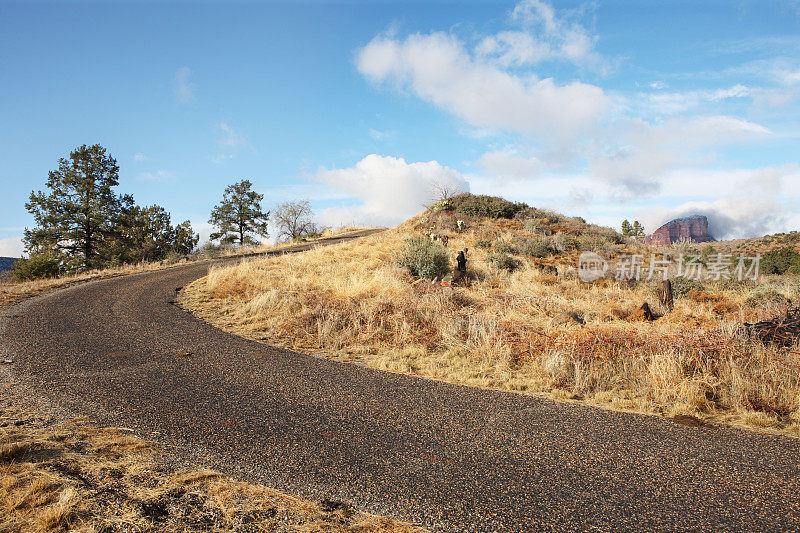 沙漠乡村道路景观