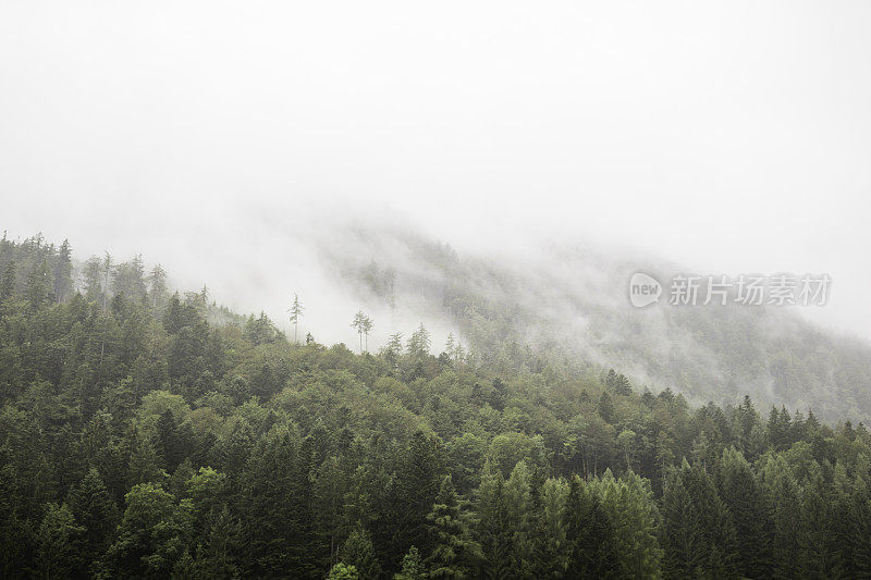 云中阿尔卑斯山山脉的全景