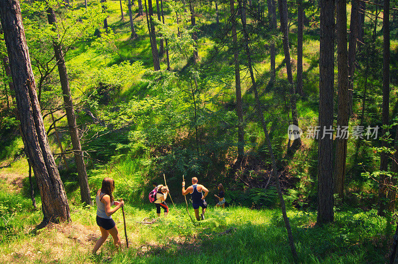 夏天全家去山里远足