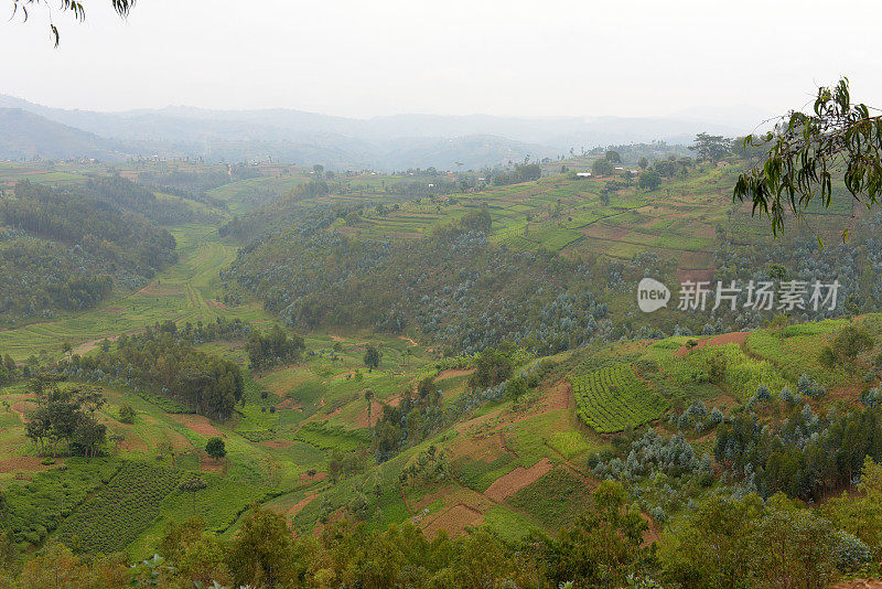 卢旺达基贝霍地区的农村