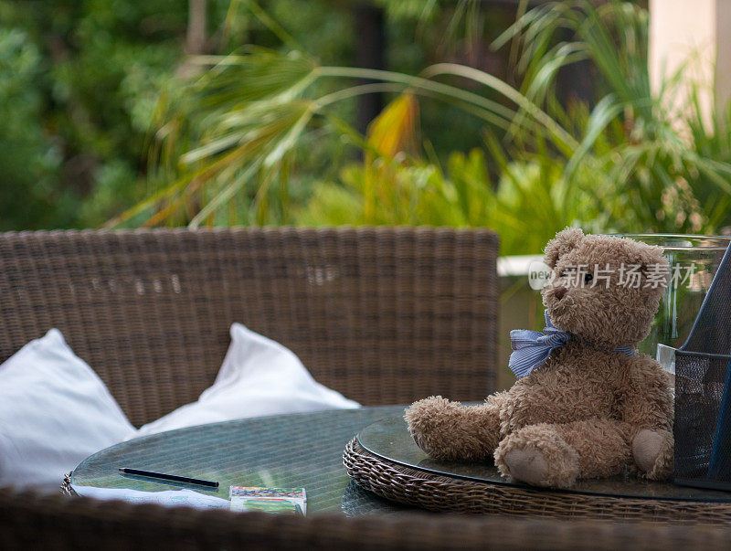 泰迪熊坐在花园的桌子上