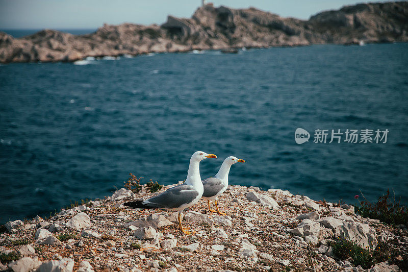 马赛附近的弗里乌尔岛