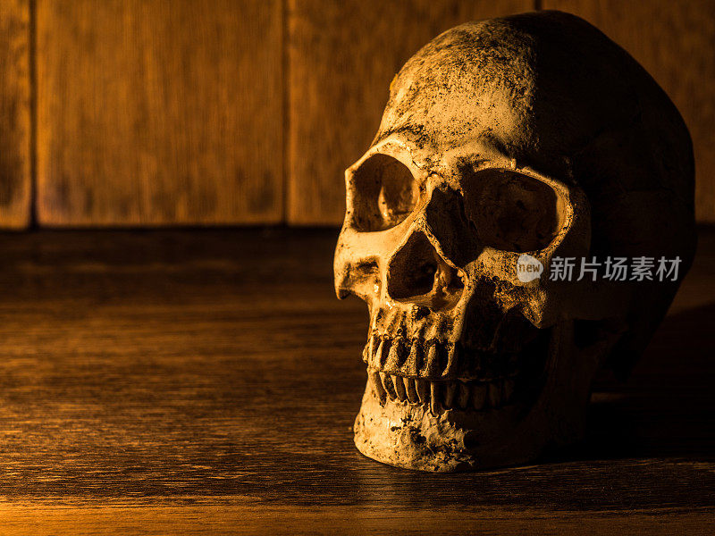 头骨被放在一张木桌上。背景是一个木制的盘子和光从蜡烛到头骨。