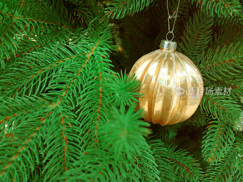 特写金色圣诞球挂在圣诞树上。