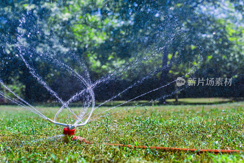 在夏季花园与洒水器草坪背景